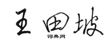 駱恆光王田坡行書個性簽名怎么寫