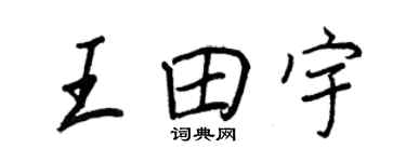 王正良王田宇行書個性簽名怎么寫