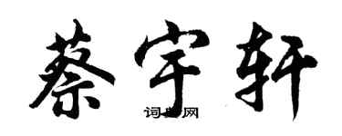 胡問遂蔡宇軒行書個性簽名怎么寫