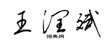 梁錦英王潤斌草書個性簽名怎么寫