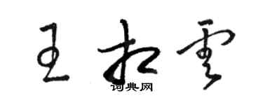 駱恆光王相雲草書個性簽名怎么寫