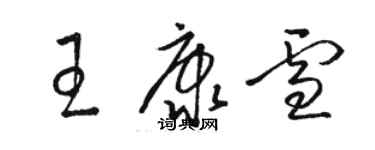 駱恆光王康雪草書個性簽名怎么寫