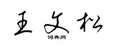 梁錦英王文松草書個性簽名怎么寫