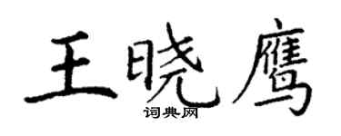 丁謙王曉鷹楷書個性簽名怎么寫