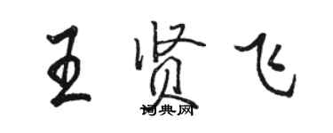 駱恆光王賢飛行書個性簽名怎么寫