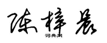 朱錫榮陳梓晨草書個性簽名怎么寫