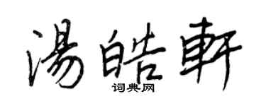 王正良湯皓軒行書個性簽名怎么寫