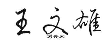 駱恆光王文雄行書個性簽名怎么寫