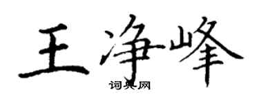 丁謙王淨峰楷書個性簽名怎么寫
