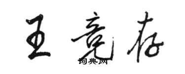 駱恆光王競存行書個性簽名怎么寫