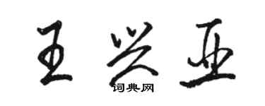 駱恆光王興亞行書個性簽名怎么寫