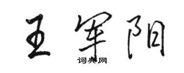 駱恆光王軍陽行書個性簽名怎么寫