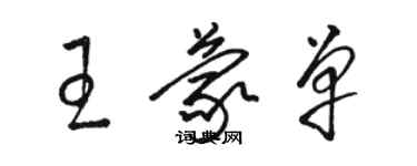 駱恆光王蒙單草書個性簽名怎么寫