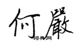 王正良何嚴行書個性簽名怎么寫