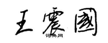 王正良王震國行書個性簽名怎么寫