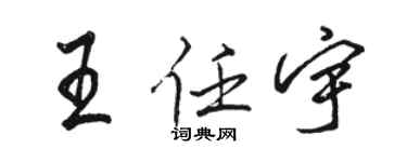 駱恆光王任宇行書個性簽名怎么寫