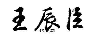 胡問遂王辰臣行書個性簽名怎么寫