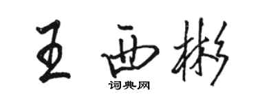 駱恆光王西彬行書個性簽名怎么寫