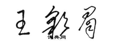 駱恆光王彩眉草書個性簽名怎么寫