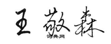 駱恆光王敬森行書個性簽名怎么寫