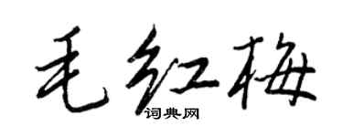 王正良毛紅梅行書個性簽名怎么寫