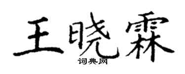 丁謙王曉霖楷書個性簽名怎么寫