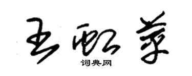 朱錫榮王虹苹草書個性簽名怎么寫