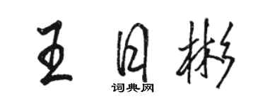 駱恆光王日彬行書個性簽名怎么寫