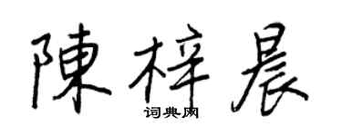 王正良陳梓晨行書個性簽名怎么寫