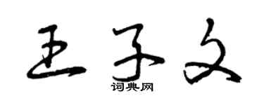 曾慶福王子文草書個性簽名怎么寫