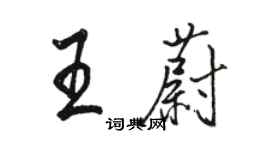 駱恆光王蔚行書個性簽名怎么寫