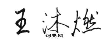 駱恆光王沐燃行書個性簽名怎么寫