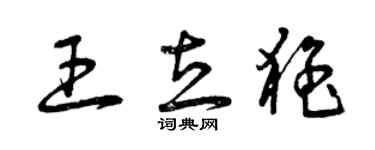 曾慶福王立猛草書個性簽名怎么寫