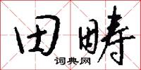 田墌的意思_田墌的解釋_國語詞典