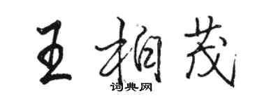 駱恆光王柏茂行書個性簽名怎么寫