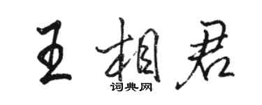 駱恆光王相君行書個性簽名怎么寫