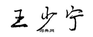 曾慶福王少寧行書個性簽名怎么寫