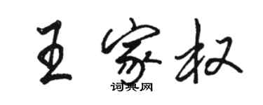 駱恆光王家權行書個性簽名怎么寫