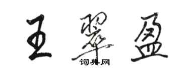 駱恆光王翠盈行書個性簽名怎么寫