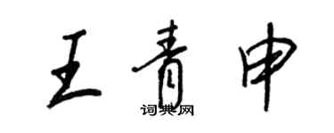 王正良王青申行書個性簽名怎么寫