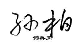 駱恆光孫柏草書個性簽名怎么寫