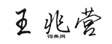 駱恆光王兆營行書個性簽名怎么寫