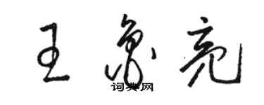 駱恆光王魯亮草書個性簽名怎么寫