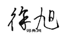 駱恆光徐旭草書個性簽名怎么寫
