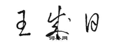 駱恆光王成日草書個性簽名怎么寫