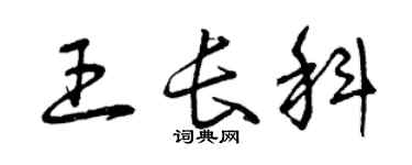 曾慶福王長科草書個性簽名怎么寫