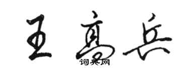 駱恆光王高兵行書個性簽名怎么寫