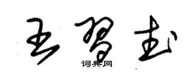 朱錫榮王習武草書個性簽名怎么寫