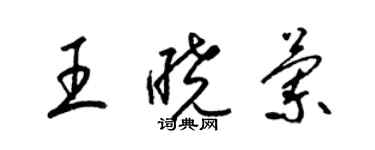 梁錦英王曉蘭草書個性簽名怎么寫