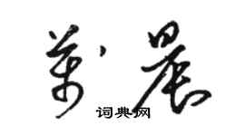 駱恆光萬晨草書個性簽名怎么寫